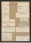 Coscinodiscus radiatus Ehr. (de-Toni-Nr.: Genus 202, Species 4972) Zeichnungen Sammlung Grunow Nr. 8579 (NHMW-BOT-W0378227)